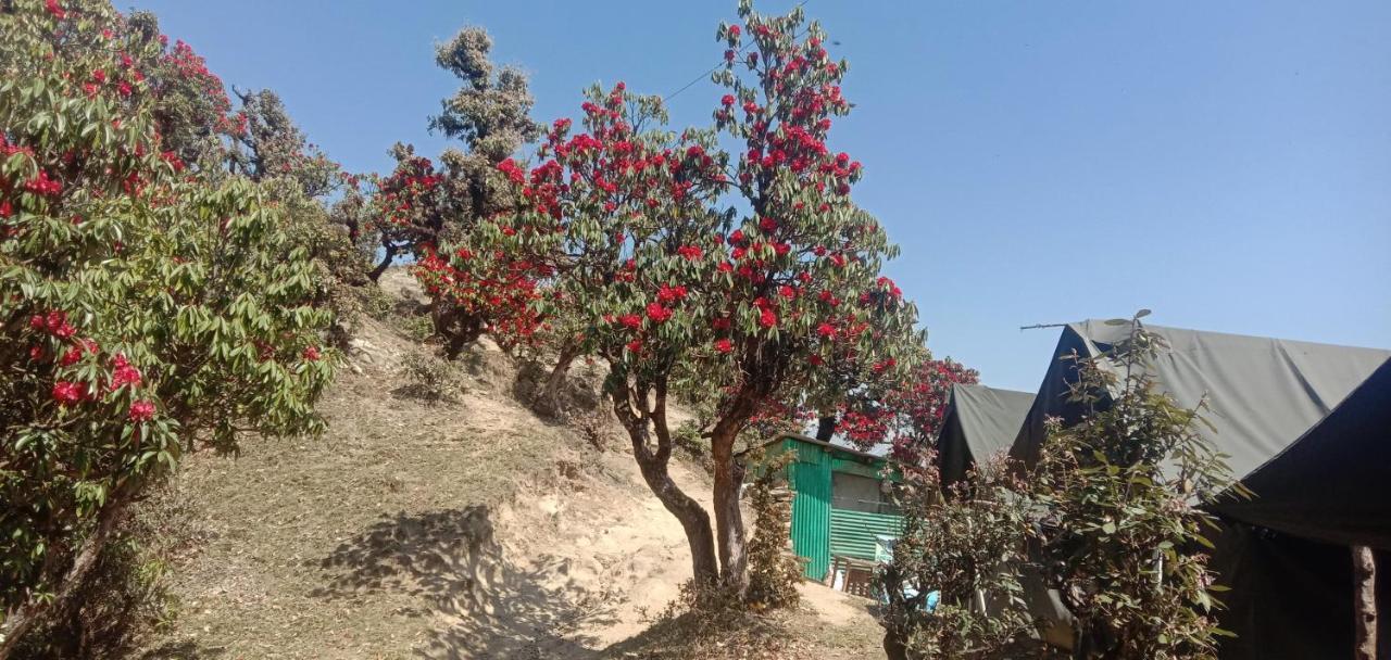 Chandarshila Hike Homestay Ukhimath Екстер'єр фото